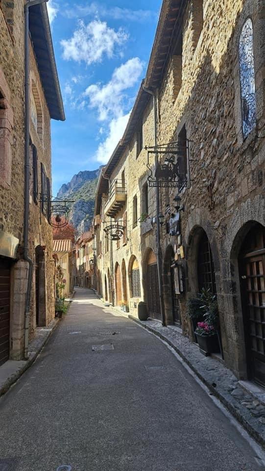 Maison Les Ramparts วิลล์ฟรานเช-เดอ-คองฟลองท์ ภายนอก รูปภาพ